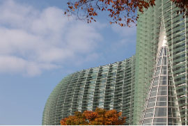 京东12