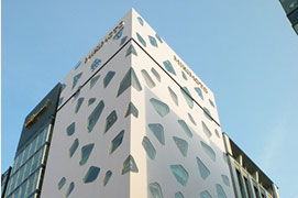 京东13